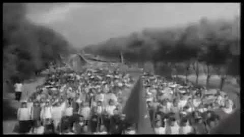 Убитые воробьи в Китае в 1958 году