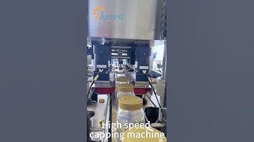 High Speed Capping Machine , 8 wheels Capping Machine , Screw Capping Machine , Screw Capper (2025)