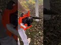 PROYAMA 26CC 2 in 1 Leaf Blower l strong power!