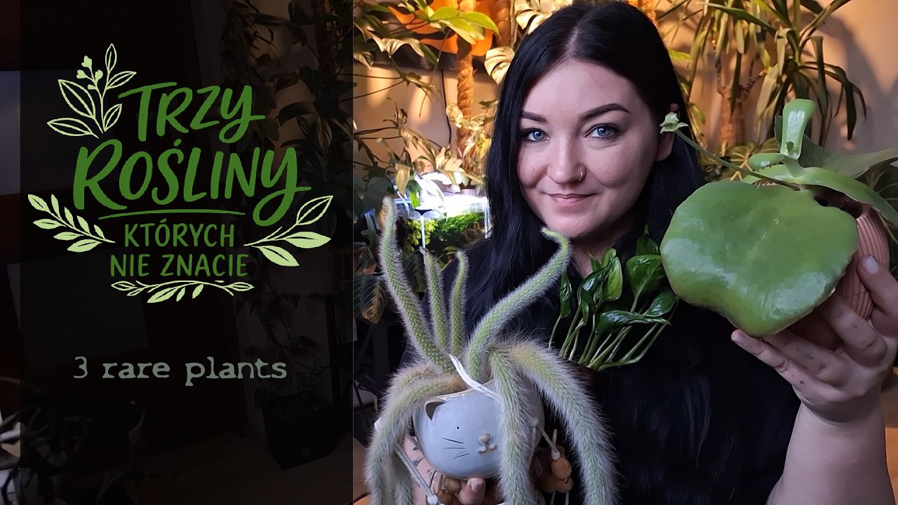 3 RARE plants from my collection  / 3 RZADKIE ROŚLINY z mojej kolekcji -pokazuję je po raz pierwszy!