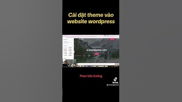 Cài đặt theme vào website wordpress #shorts #tadola #phanvancuong #wordpress #websitedesign