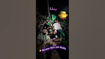 يا بطة ميحي ميحي 