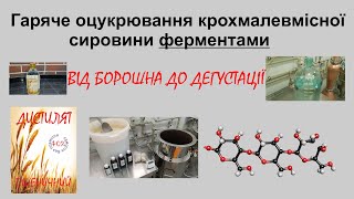 картинка: Гаряче оцукрювання крохмалевмісної сировини ферментами на прикладі пшениці