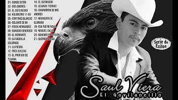 Saul Viera El Gavilancillo Mix