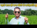 लाखों की नौकरी छोड़ ऐसे कमाए करोडों रू | YAGYA Organic Successful Crorepati Farmer in india