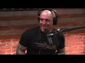 Joe Rogan on Knockouts, Brain Trauma