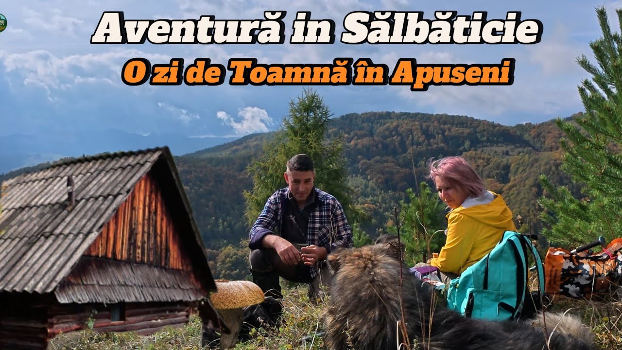 ULTIMII HRIBI DIN APUSENI 🍁 AVENTURĂ DE TOAMNĂ LA O CABANĂ IZOLATĂ | EP. 66