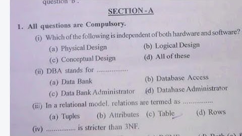 BSC 5th  Computer Application question paper | Cluster university