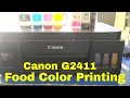 Canon Pixma g2411 printer how to prepare food color printing for cakes
