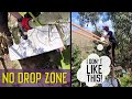 Tree over shed with no drop zone | Eucalyptus tree removal | tree surgeon tree climbing