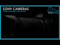 Check the shutter count for sony cameras in 1 minute a7iii  a7  a7s  a7r  2020