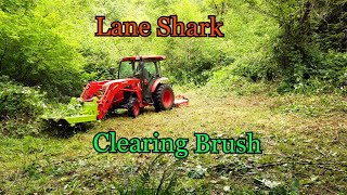Lane Shark: Clearing Overgrown Roads