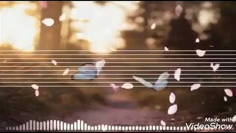 فواتح سورة الملك 💕💛🌸💚