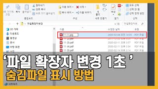 파일 확장자 바꾸기 변경 숨김파일 보는법
