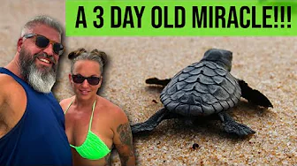 Once in a Lifetime Sea Turtle Rescue! | Nest Excavation on Amelia Island
