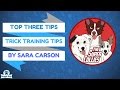Dog Trick Training Tips - LIVE with Sara Carson and The Super Collies Dog Trick Training Tips - LIVE with Sara Carson and The Super Collies