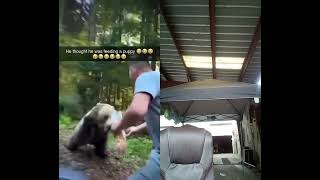 ⌚this crazy sneak attack from 🐻 #real 🔥🔥🔥🔥