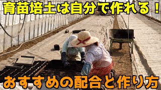 【良い苗は良い土から】トマトの育苗ポイント。健康で丈夫な苗を作る培土の作り方