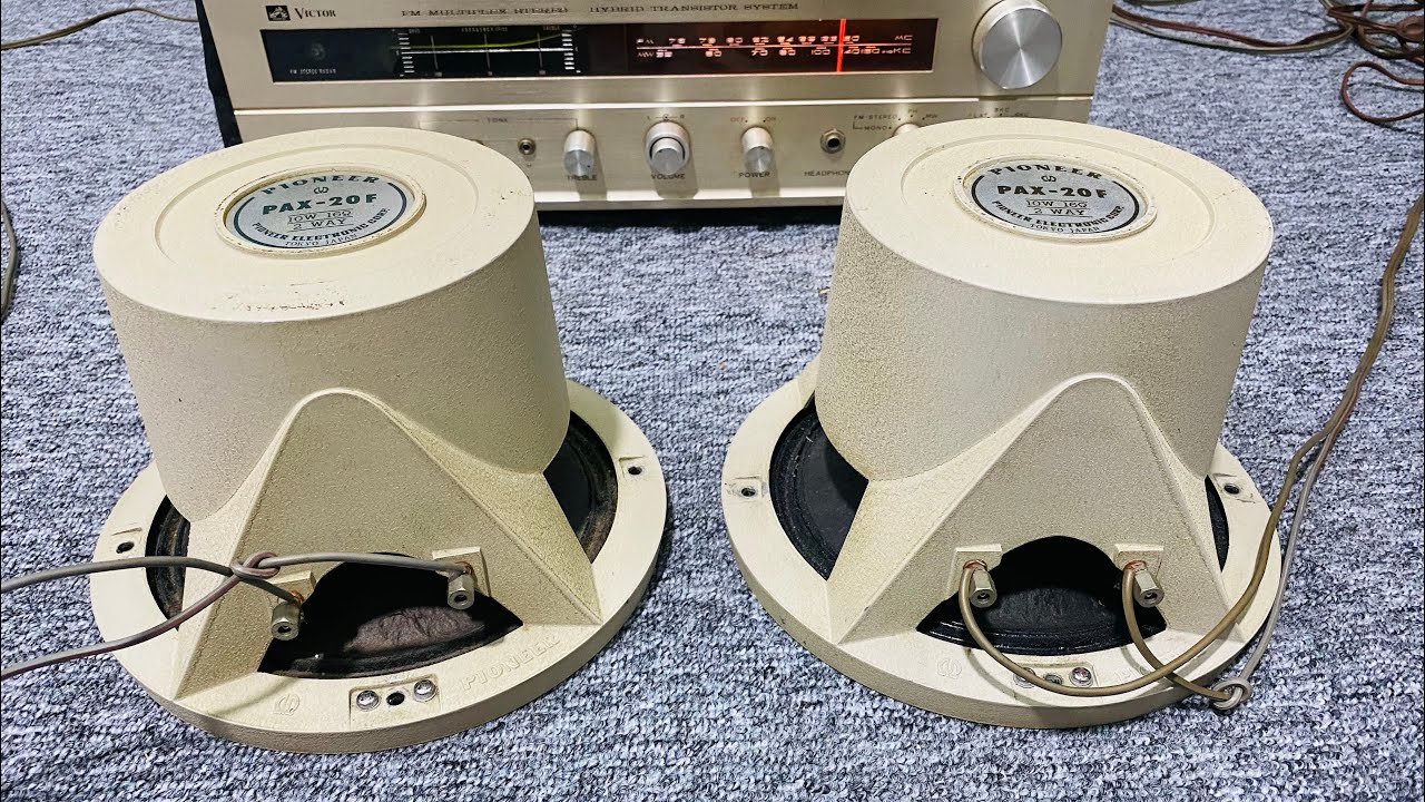 Pioneer PAX-20F ウーファー 取り付けネジ付き