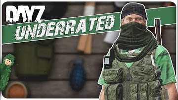 The 10 Most Slept-On Items You NEED to LOOT in DayZ