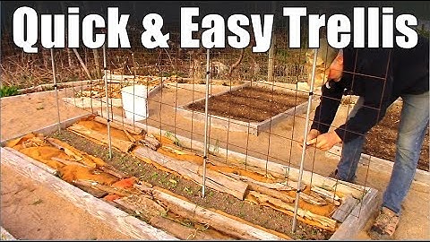 Easy Wire Remesh Trellis Design