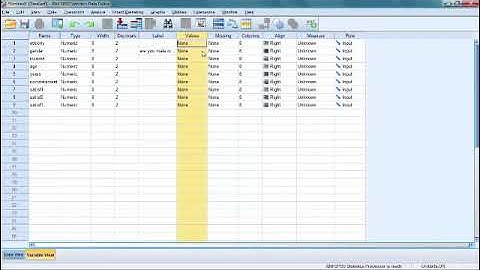 SPSS Data entry training 1