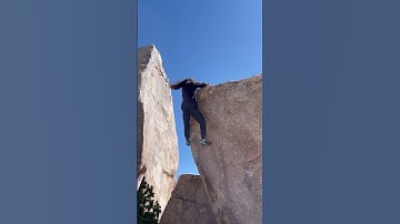Flight Attendant, V4. Joshua Tree