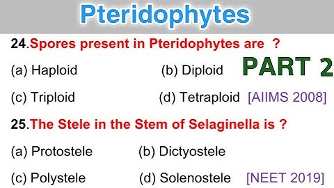 Pteridophytes MCQ || Plant Kingdom MCQ || Botany MCQs || Part (2)