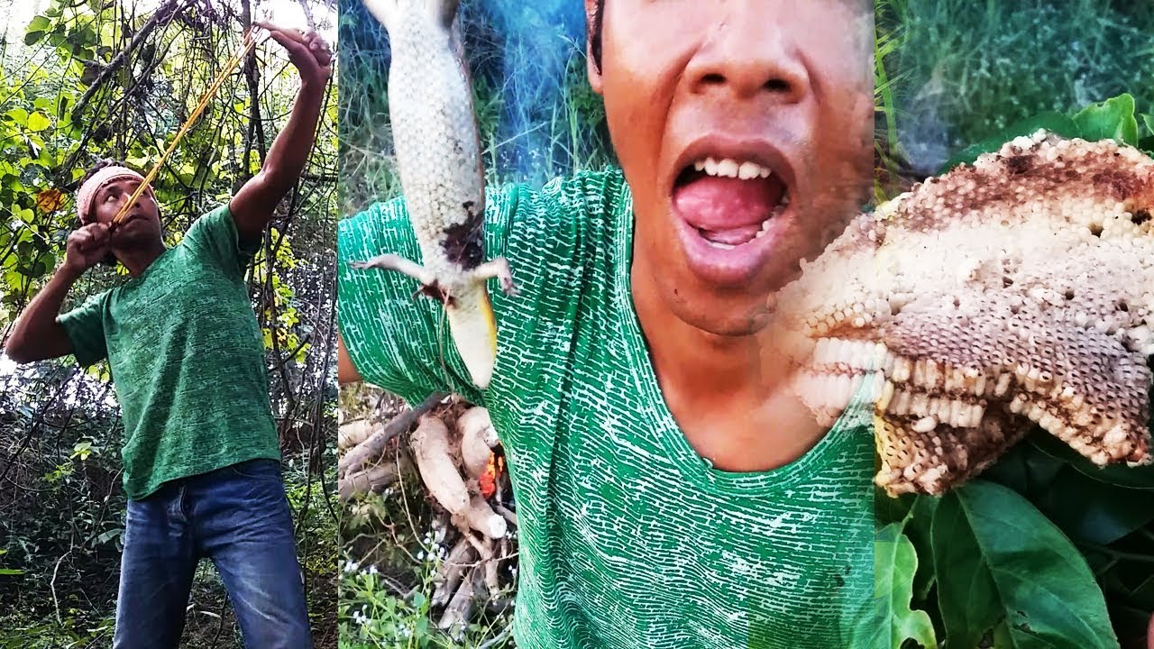 Wildlife searching for food Hunting with Slingshots Thai S YouTube