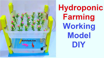 hydroponic farming working model | science project | vertical  agriculture | howtofunda