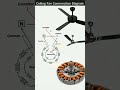 DIY Ceiling fan connection diagram with capacitor #diy #viralvideo #shorts #fan