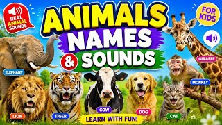 🐘 Animals Names and Sounds for Kids | Learn Animal Names with Real Sounds | Educational Video 