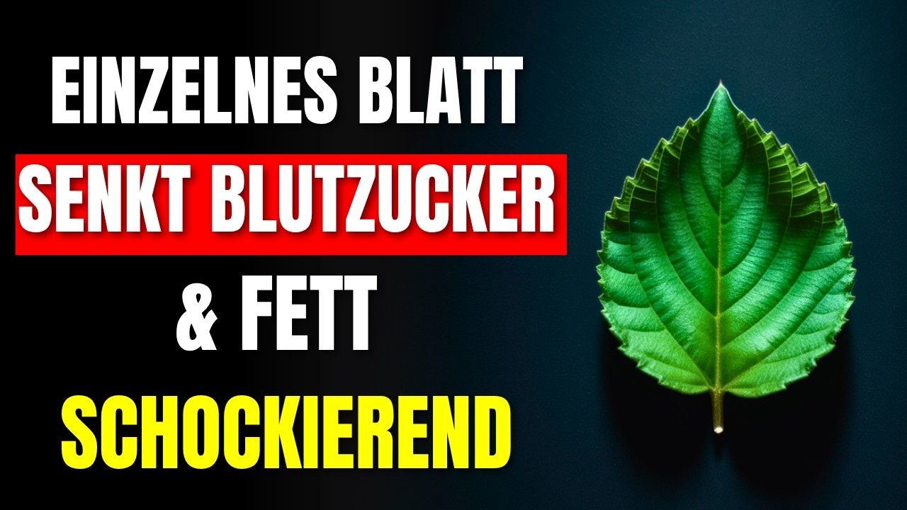 🔥 NUR 1 BLATT VERNICHTET DIABETES, SCHLECHTES CHOLESTERIN UND BAUCHFETT – Ärzte sind SCHOCKIERT!