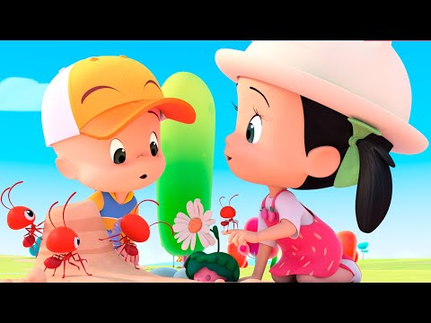 THE FLOWER | Cuquin & Cleo Daily Episodes