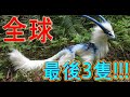 十個瀕臨滅絕的動物 | 瀕臨絕種動物 | Endangered animal | 千奇百怪