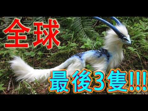 十個瀕臨滅絕的動物 | 瀕臨絕種動物 | Endangered animal | 千奇百怪