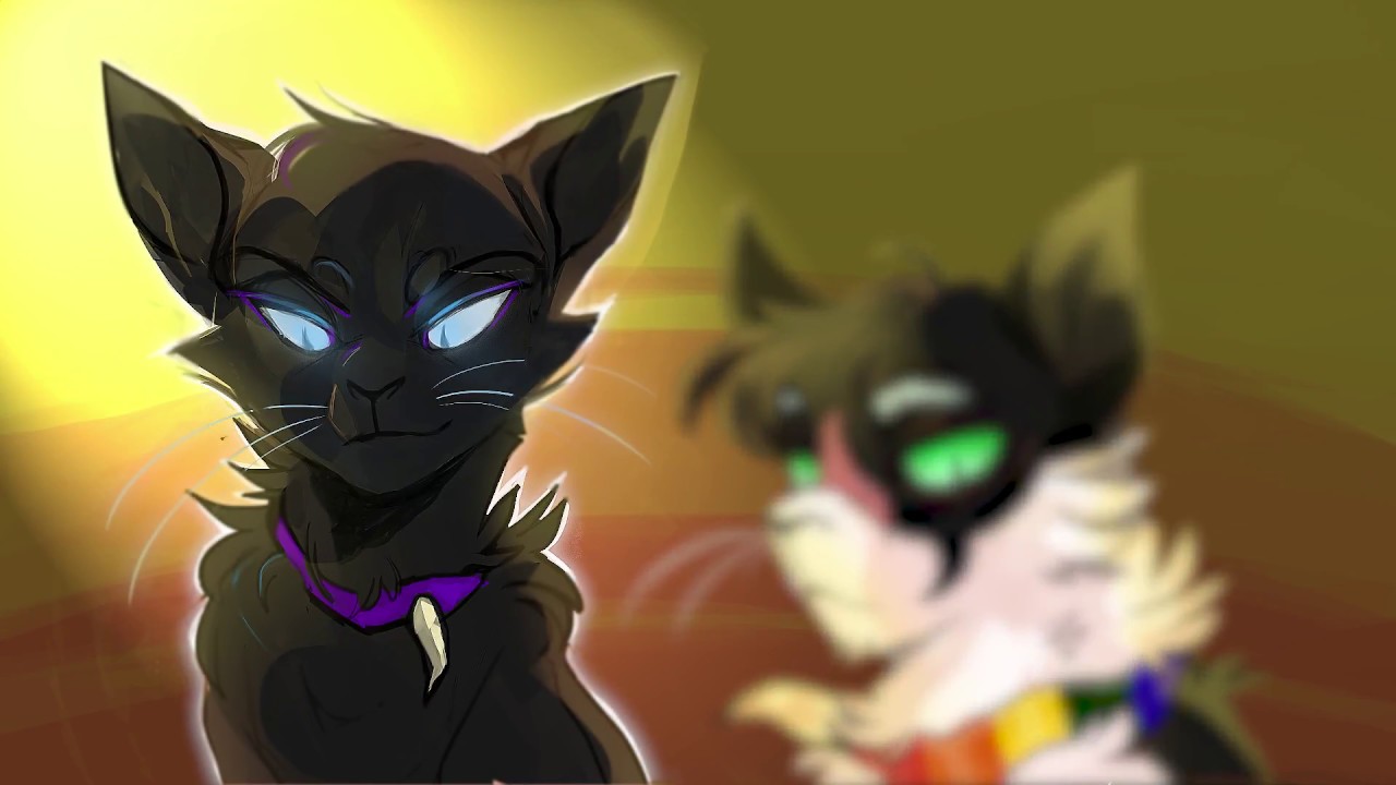 Коты воители бич и костяк. Коты Воители Scourge. Бич и костяк шип