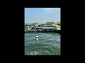 Acuacultura TILAPIA NILOTICA RENTABILIDAD en vivo