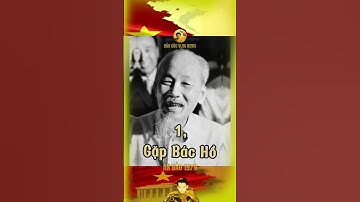 NẾU ĐƯỢC CHỌN MỘT TRONG BA ĐIỀU ƯỚC BẠN SẼ ƯỚC GÌ… #bảocócvlog #baococvlogboss #bảocóc #shorts #xh