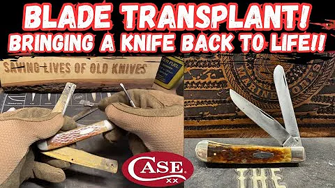Blade Transplant: Bringing a Case XX Trapper Back to Life!