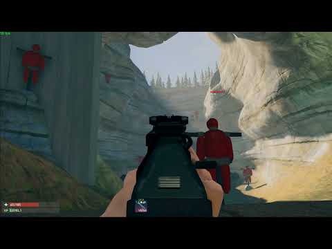 TLP recoil video