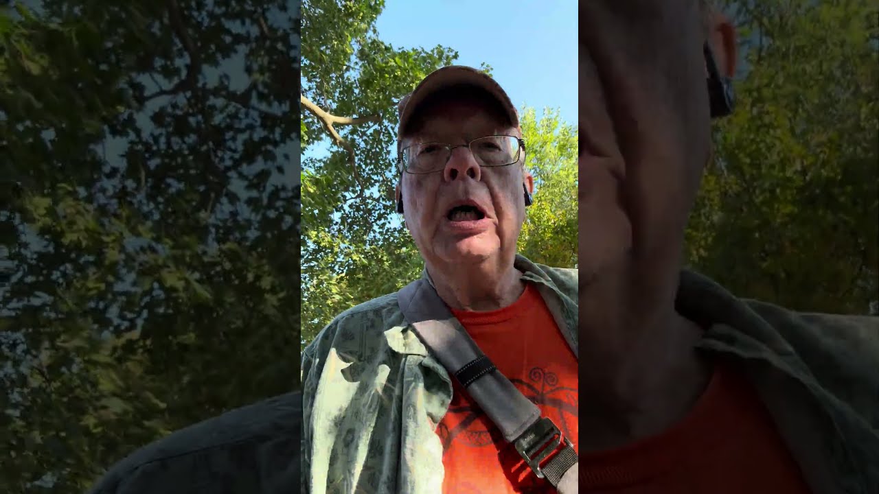 Why Are Boomers So Weird Boomer Okboomer Ptsd Shellshock