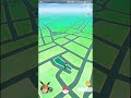 CREANDO MI PRIMERA POKEPARADA