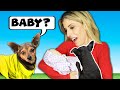 Dogs Meet Baby for the First Time - Emotional