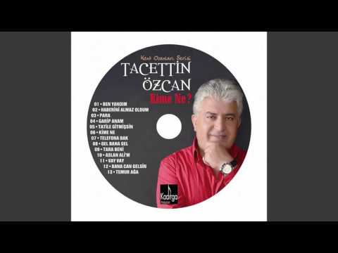 Tacettin Özcan - Tatile Gitmişsin