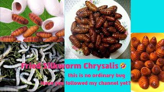 油炸 蚕蛹 Fried silkworm chrysalis, high-protein food, insects that many people would not eat