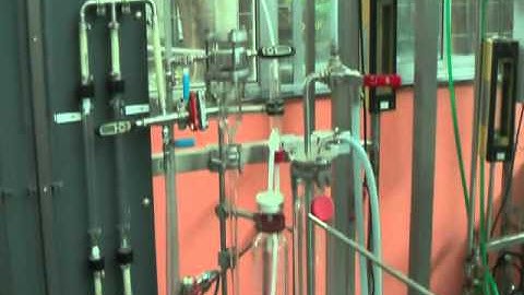 Hydrodynamics of packed column