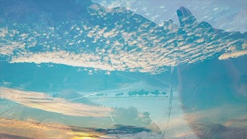 سورة الغاشية |  ( أَفَلَا يَنظُرُونَ إِلَى الْإِبِلِ كَيْفَ خُلِقَتْ .. |   بصوت الشيخ اسلام صبحي