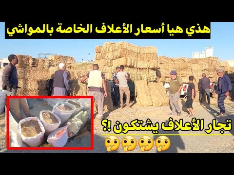 شاهد أسعار الأعلاف و الحبوب الخاصة بالمواشي هنا البيع بالجملة و التجزئة تجار الأعلاف يشتكون