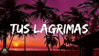 Mora - TUS LÁGRIMAS (Letra/Lyrics)